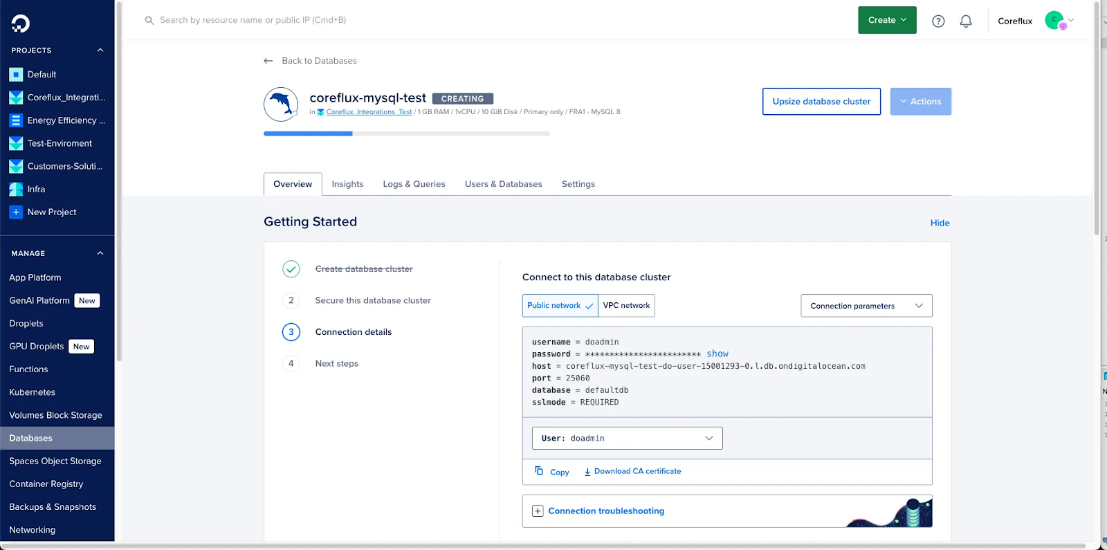 MySQL public and VPC connection details