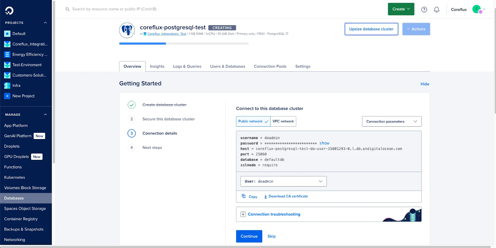 PostgreSQL public and VPC connection details